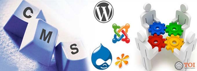 manage-web-content-services-cms-development-company